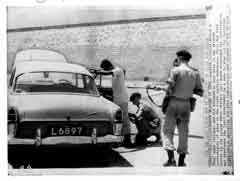 ���� ������ ��� ��� ����