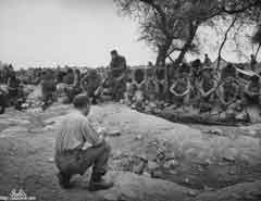 ���� ������ ��� ��� ����