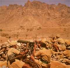 ���� ������ ��� ��� ����