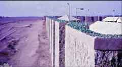 ���� ������ ��� ��� ����