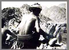 ���� ������ ��� ��� ����