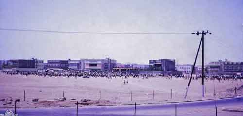 ���� ������ ��� ��� ����