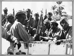 ���� ������ ��� ��� ����