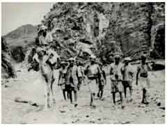 ���� ������ ��� ��� ����