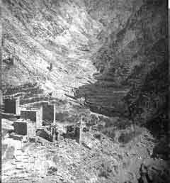 ���� ������ ��� ��� ����