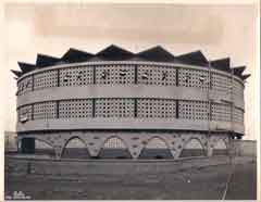 ���� ������ ��� ��� ����