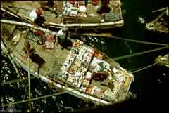 ���� ������ ��� ��� ����