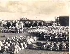 ���� ������ ��� ��� ����