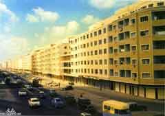 ���� ������ ��� ��� ����