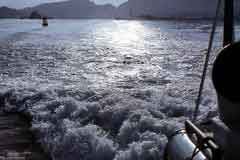 ���� ������ ��� ��� ����