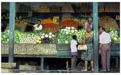 ���� ������ ��� ��� ����