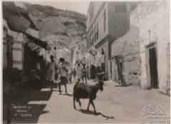 ���� ����� �� ������� ��� ��������� �� ����� ������