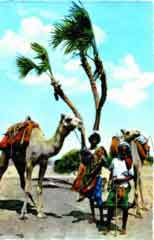  ���� ������� ������ ��� �� ��������� �� ����� ������