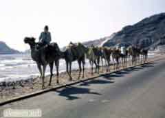  ����� �� ������ �� ������ ��� ���� ��� ����� ������� �� ������ ��������� �� ������� �� ��� ��� 70 ����