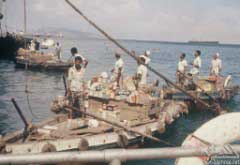 ���� ������ ��� ��� ����