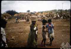 ����� ����� �� ��������