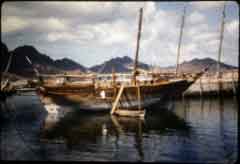 ����� ������ ���� ����� ����� �������� 