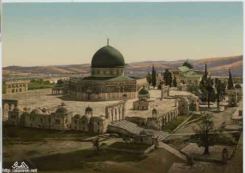 ���� ������ ��� ��� ����