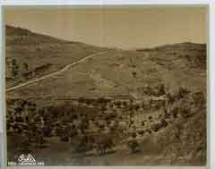 ���� ������ ��� ��� ����