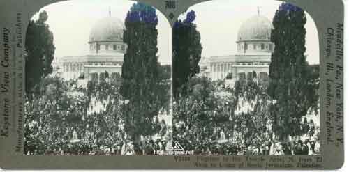 ���� ������ ��� ��� ����