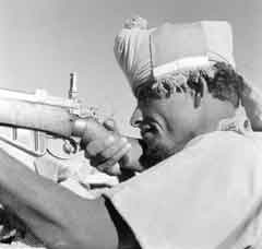 ���� ������ ��� ��� ����