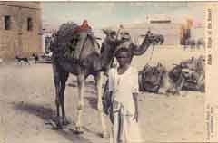 ���� ������ ��� ��� ����