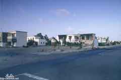 ���� ������ ��� ��� ����