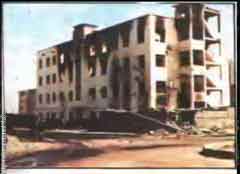 ���� ������ ��� ��� ����