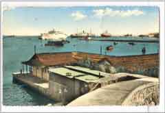 ���� ������ ��� ��� ����