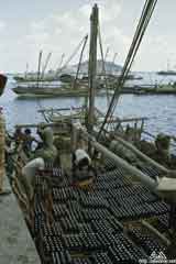 ���� ������ ��� ��� ����