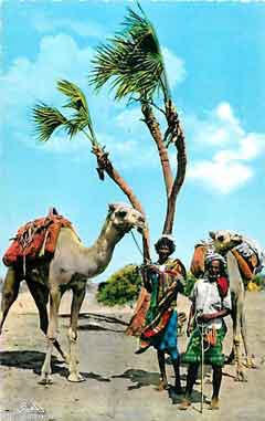 انقر للحصول على حجم اكبر