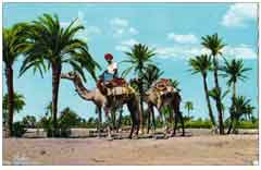 انقر للحصول على حجم اكبر