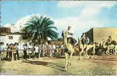 انقر للحصول على حجم اكبر