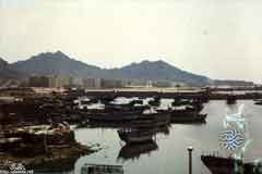 ���� ������ ��� ��� ����