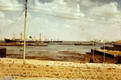 ���� ������ ��� ��� ����