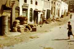 ���� ������ ��� ��� ����