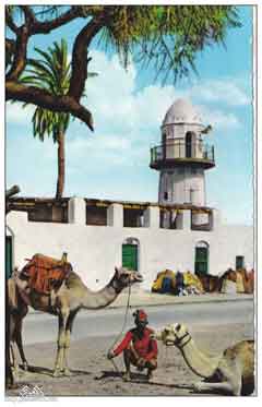 انقر للحصول على حجم اكبر