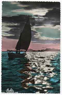 ���� ������ ��� ��� ����