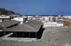 ���� ������ ��� ��� ����