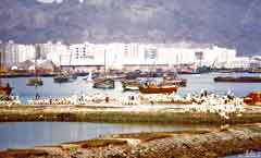 ���� ������ ��� ��� ����