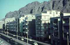 ���� ������ ��� ��� ����