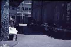 ���� ������ ��� ��� ����