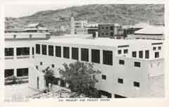 ���� ������ ��� ��� ����