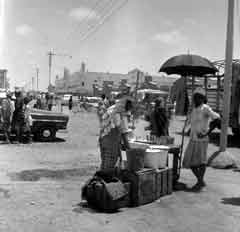 ���� ������ ��� ��� ����