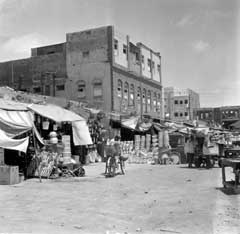 ���� ������ ��� ��� ����