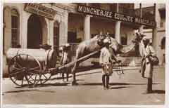 ���� ������ ��� ��� ����