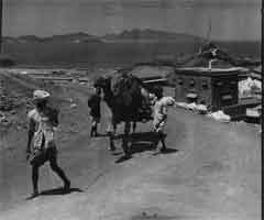 ���� ������ ��� ��� ����