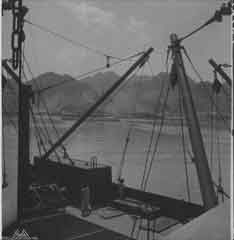 ���� ������ ��� ��� ����