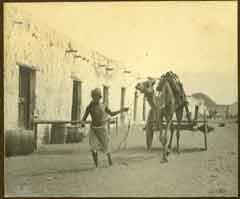 ���� ������ ��� ��� ����