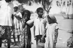 ���� ������ ��� ��� ����